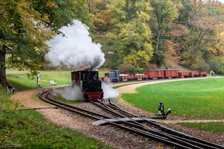 Waldeisenbahn Muskau