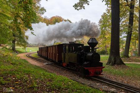 Waldeisenbahn Muskau