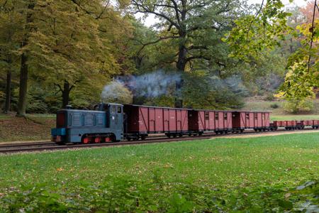 Waldeisenbahn Muskau