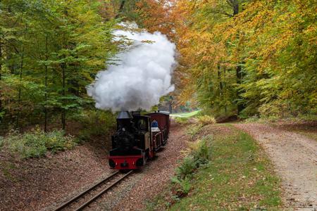 Waldeisenbahn Muskau