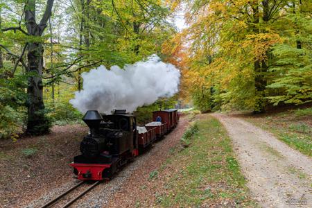 Waldeisenbahn Muskau