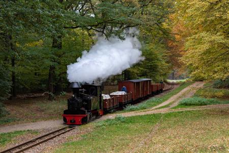 Waldeisenbahn Muskau