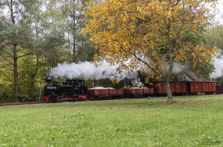 Waldeisenbahn Muskau