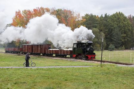 Waldeisenbahn Muskau