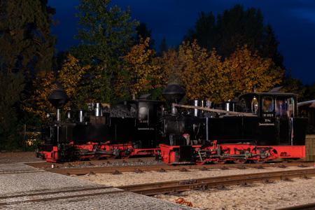 Waldeisenbahn Muskau