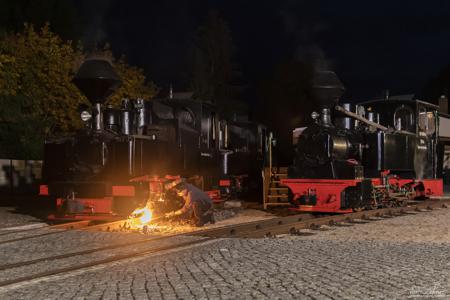 Waldeisenbahn Muskau