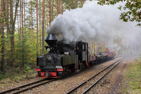 Waldeisenbahn Muskau