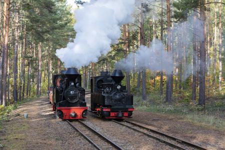 Waldeisenbahn Muskau