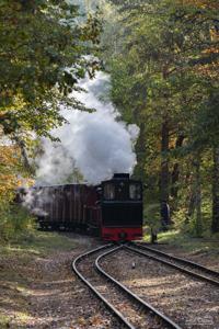 Waldeisenbahn Muskau