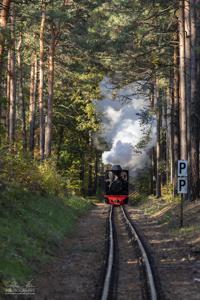 Waldeisenbahn Muskau