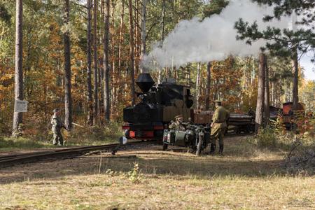 Waldeisenbahn Muskau