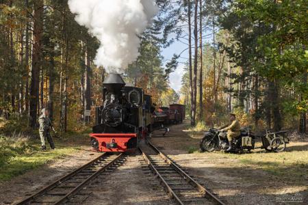 Waldeisenbahn Muskau