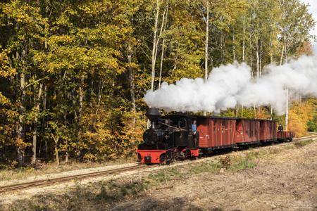 Waldeisenbahn Muskau