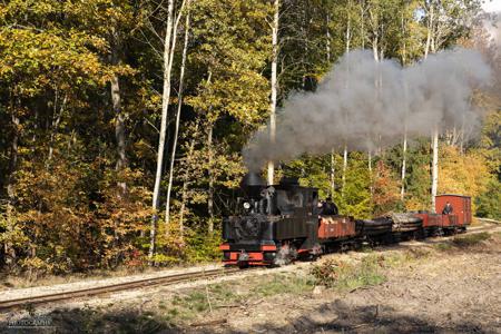 Waldeisenbahn Muskau