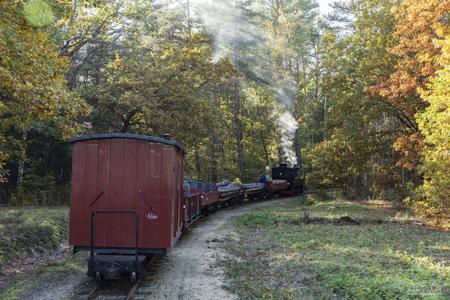 Waldeisenbahn Muskau