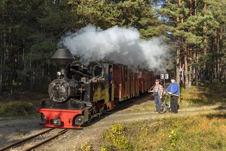 Waldeisenbahn Muskau