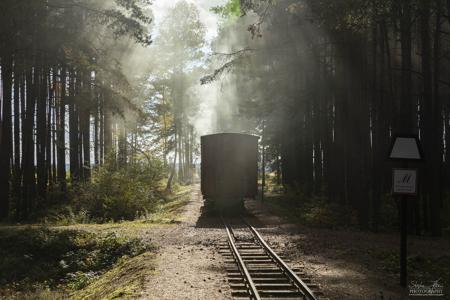 Waldeisenbahn Muskau