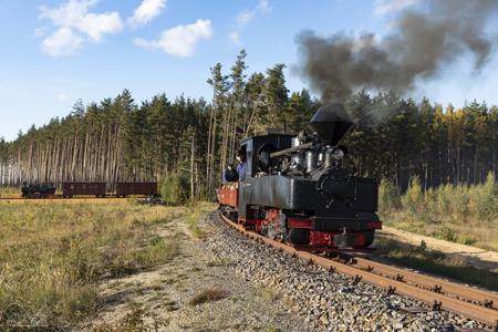 Waldeisenbahn Muskau