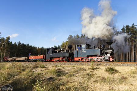 Waldeisenbahn Muskau