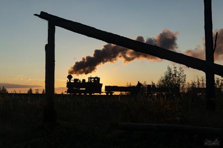 Waldeisenbahn Muskau