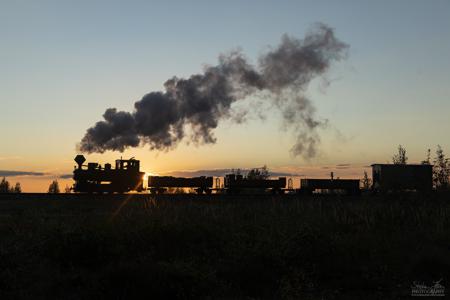 Waldeisenbahn Muskau