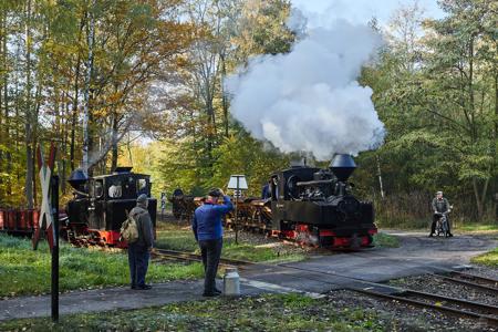 Waldeisenbahn Muskau