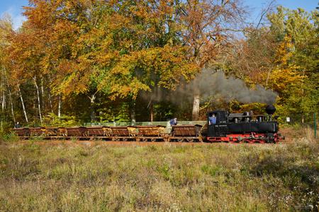 Waldeisenbahn Muskau