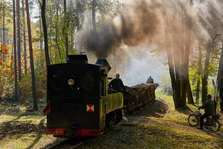 Waldeisenbahn Muskau