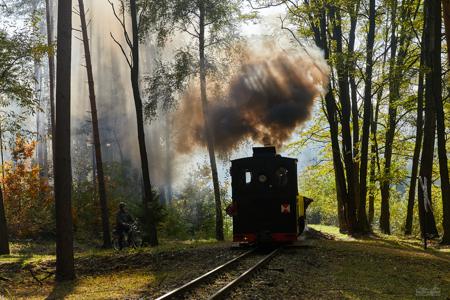 Waldeisenbahn Muskau