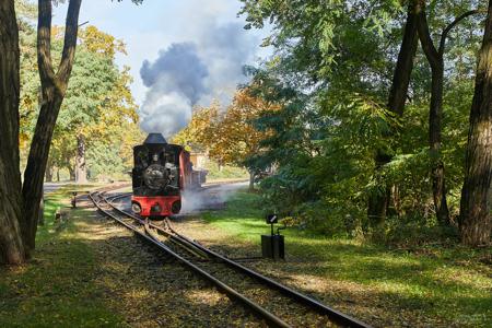 Waldeisenbahn Muskau