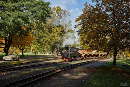 Waldeisenbahn Muskau