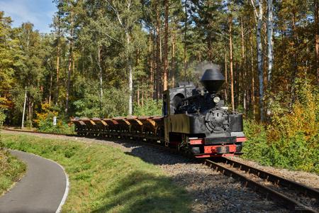 Waldeisenbahn Muskau