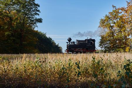 Waldeisenbahn Muskau