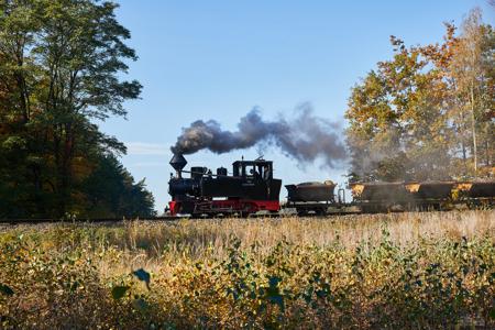 Waldeisenbahn Muskau