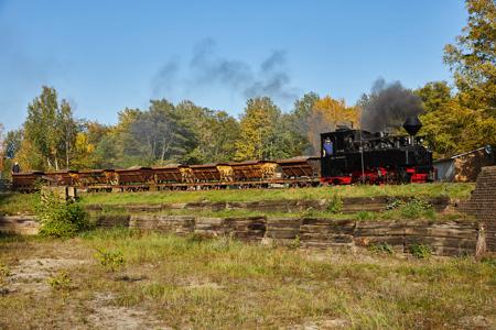 Waldeisenbahn Muskau