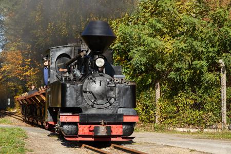 Waldeisenbahn Muskau