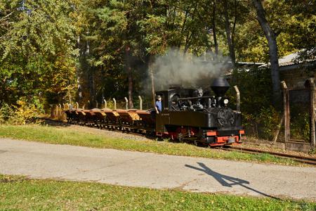 Waldeisenbahn Muskau