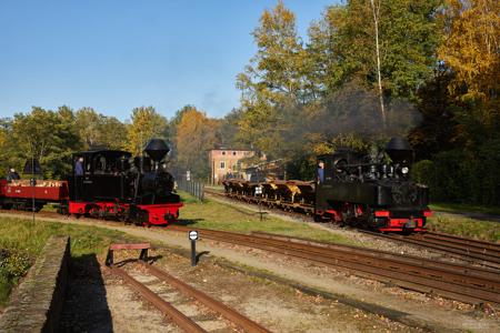 Waldeisenbahn Muskau