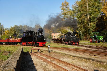 Waldeisenbahn Muskau