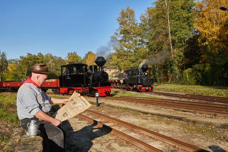 Waldeisenbahn Muskau