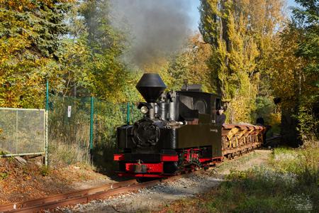 Waldeisenbahn Muskau