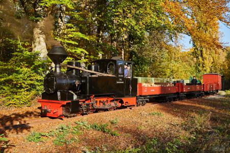 Waldeisenbahn Muskau