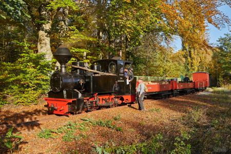 Waldeisenbahn Muskau