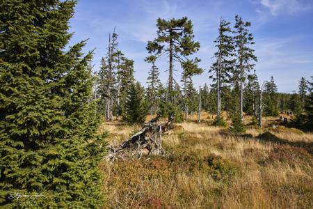 Riesengebirge