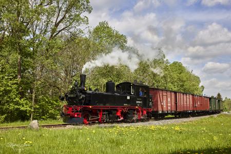 Preßnitztalbahn - Güterzugeinsätze mit Dampf und Diesel