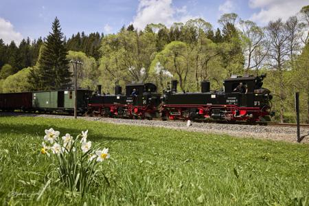 Preßnitztalbahn - Güterzugeinsätze mit Dampf und Diesel