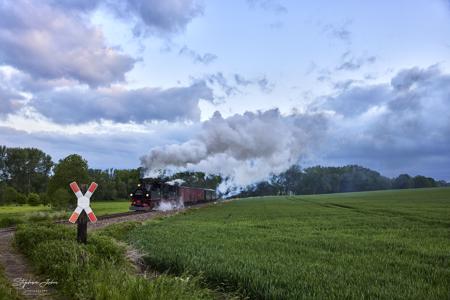 Döllnitzbahn