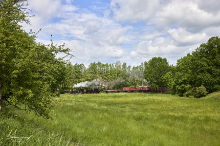 Döllnitzbahn