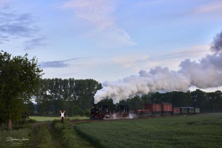 Döllnitzbahn