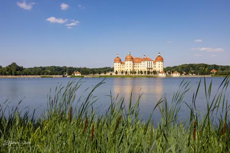 Moritzburg